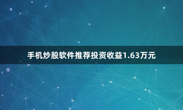 手机炒股软件推荐投资收益1.63万元