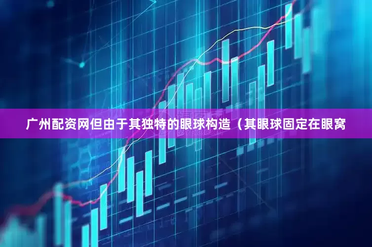 广州配资网但由于其独特的眼球构造（其眼球固定在眼窝
